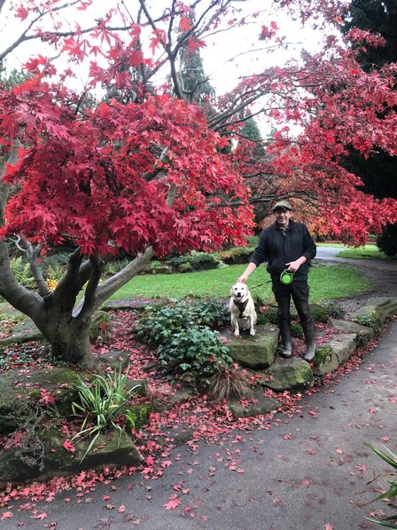 Robin standing with our Labrador beneath bright red acer trees in an autumn garden